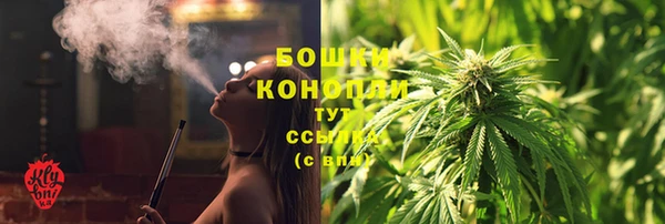 винт Лабытнанги