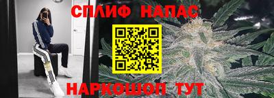 сатива Бузулук