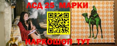 твердый Будённовск