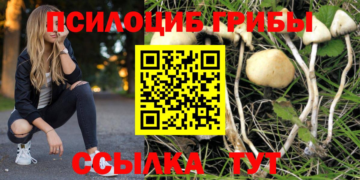 Псилоцибиновые грибы Magic Shrooms Елизово