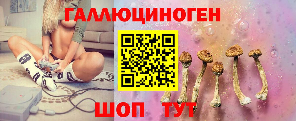 Псилоцибиновые грибы Cubensis Елизово