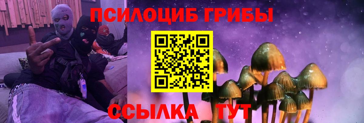 Псилоцибиновые грибы MAGIC MUSHROOMS  Галлюциногенные грибы Cubensis  Вход с VPN  Елизово 